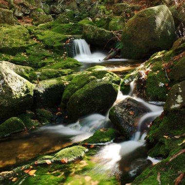 Brook in forest clipart