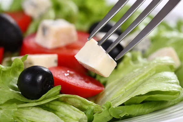 Salade de légumes au fromage — Photo