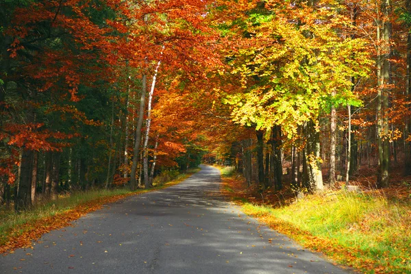 Höstens road — Stockfoto