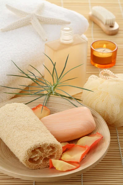 Body-care products Stock Image