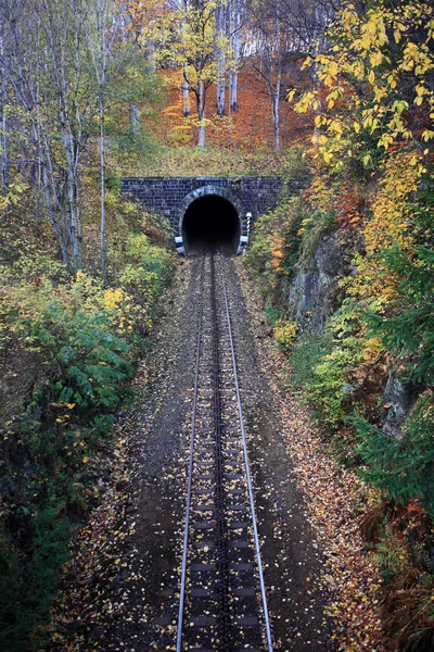 Железнодорожный тоннель в осеннем пейзаже — стоковое фото