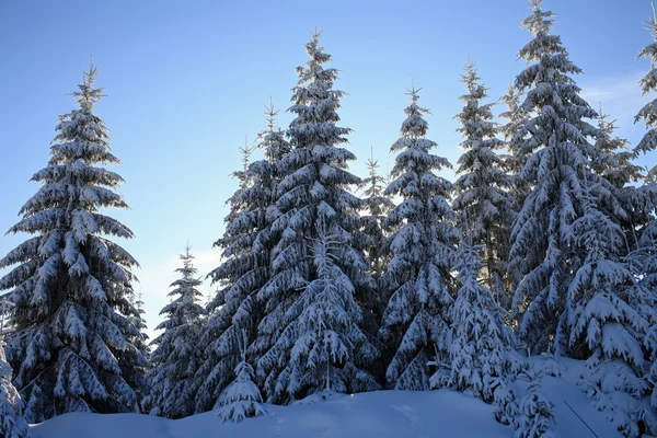 雪尝试无云的蓝天 — 图库照片