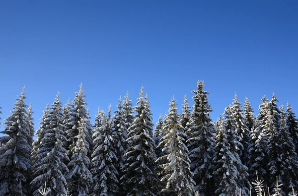 雪尝试无云的蓝天 — 图库照片
