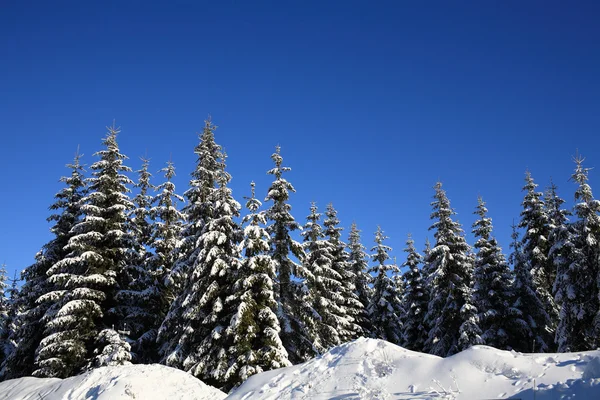 雪原青いからりと晴れた空 — ストック写真