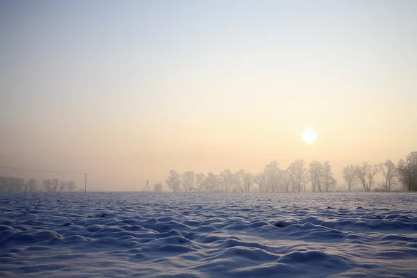 Snowy field blue cloudless sky — Stock Photo, Image
