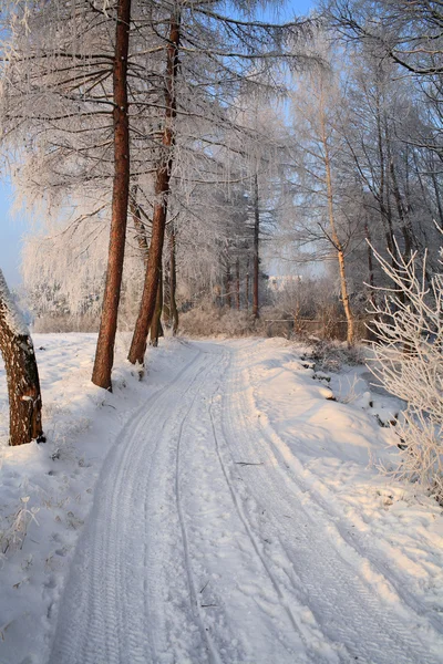 Снежная дорога голубое безоблачное небо — стоковое фото