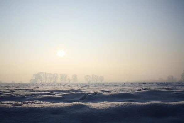 Snowy pole, Błękitne bezchmurne niebo — Zdjęcie stockowe