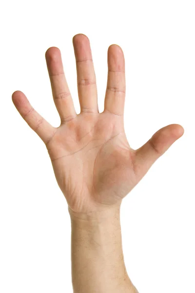 Stock image Counting man hand