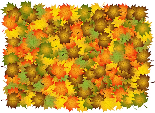 Various autumn leaves to background — Stock Vector