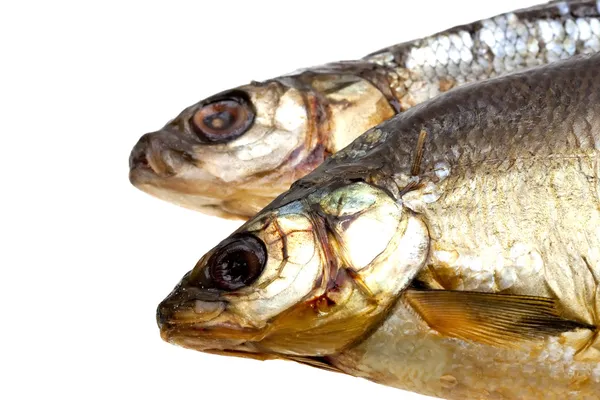 Stock image Close-up dried fish on white