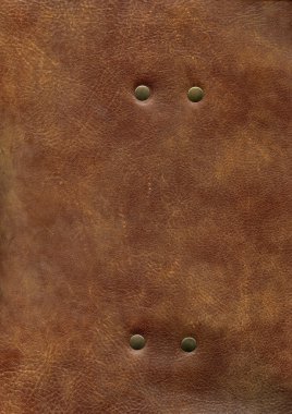 HQ brown leather texture with rivet clipart