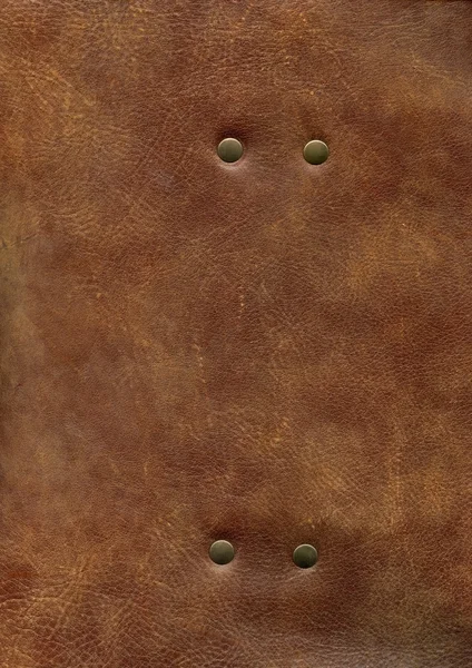 HQ brown leather texture with rivet — Stock Photo, Image