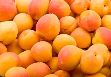Fresh natural apricot background clipart