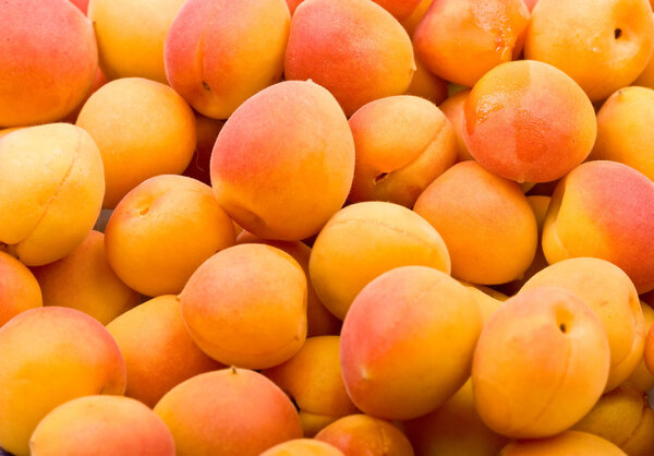 Fresh natural apricot background
