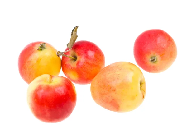 Świeże jabłka naturalne na białym tle — Zdjęcie stockowe
