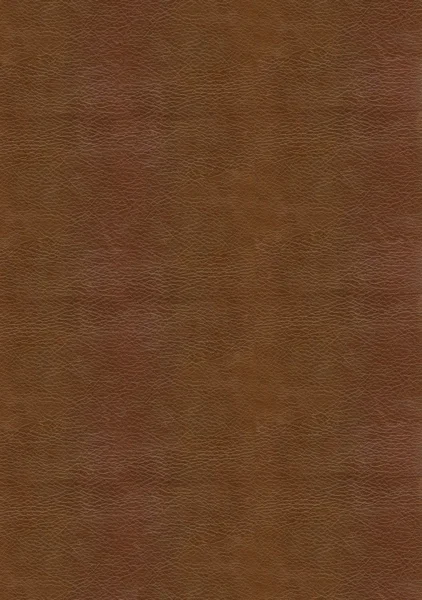 Brown leather texture to backgrounnd — Stock Photo, Image