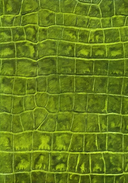 Textura de imitação de couro de réptil verde — Fotografia de Stock