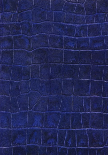 Blue reptile leather imitation texture — Stock Photo, Image