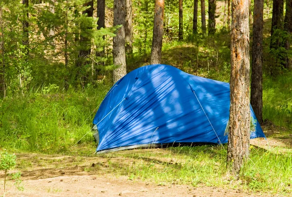 stock image Summer landscape with blue tourist tent