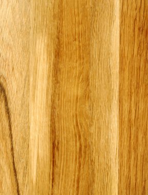 Close-up wooden oak texture clipart