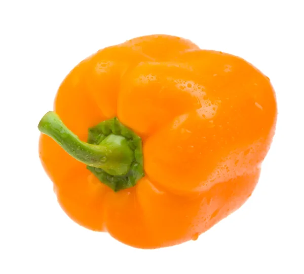 Oranje paprika met waterdruppels — Stockfoto
