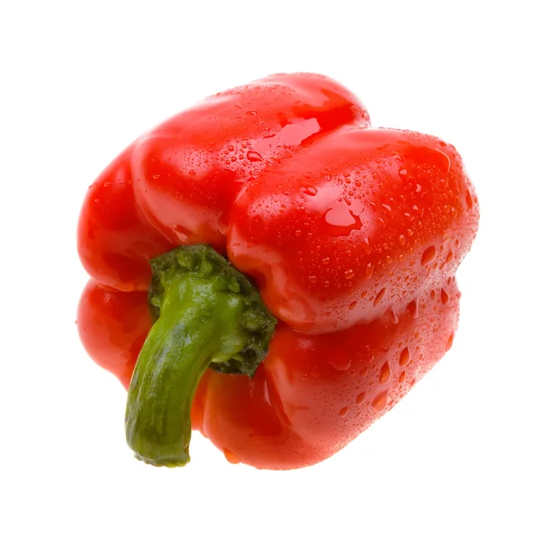 Close-up červené papriky s vodou kapky — Stock fotografie