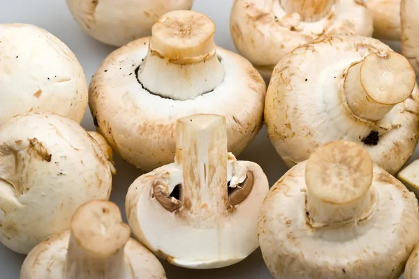 Close-up mushrooms to background Stock Photo