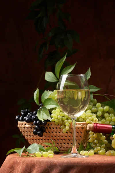 Vinho branco, grupos frescos de uvas — Fotografia de Stock