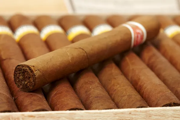 Caja de cigarros cubanos — Foto de Stock