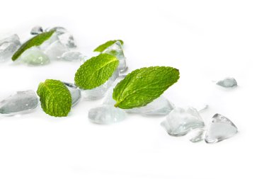 Leaves of mint in ice clipart