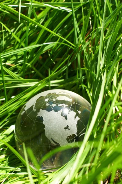 Globe in a grass, ecology — Stock Photo, Image