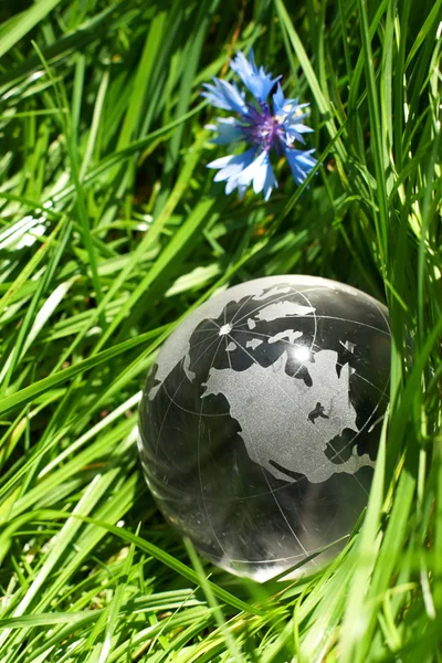 Globe in een gras, ecologie — Stockfoto