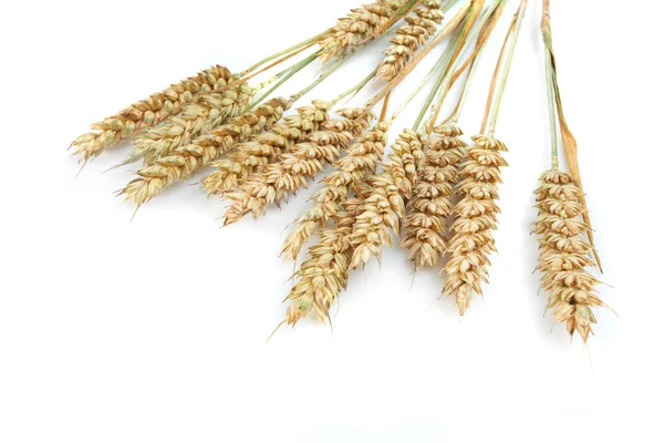 Peras de grano — Foto de Stock