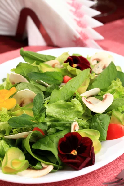 Salade bloemen — Stockfoto