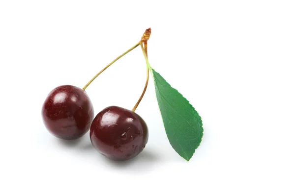Cherry; objects on white background — Stock Photo, Image