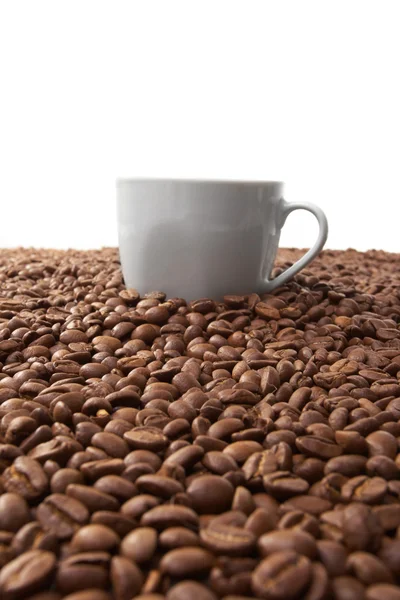 Tasse mit Kaffee, Kosten auf Kaffeekorn — Stockfoto