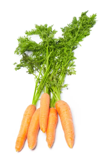 Möhren aus frischem Gemüse — Stockfoto