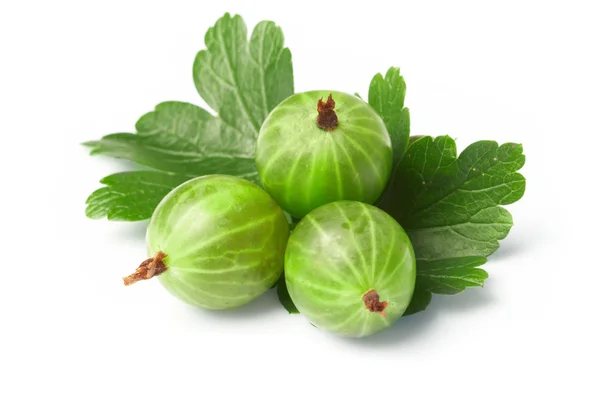 Gooseberry, among green leaves — Stock Photo, Image