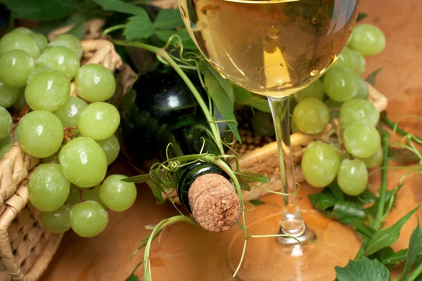 Kieliszek do wina z butelki na degustację — Zdjęcie stockowe