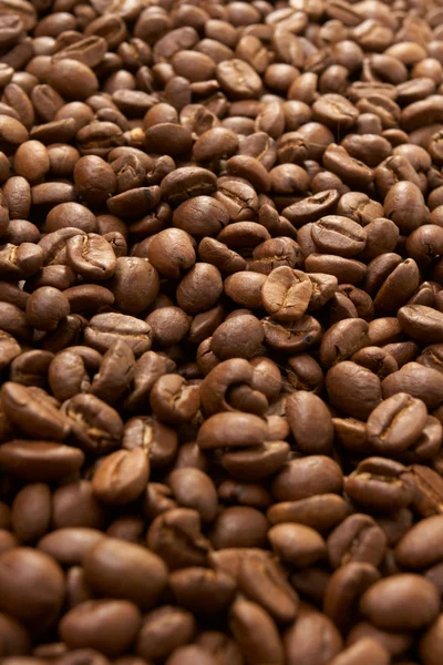 Kaffeekorn — Stockfoto