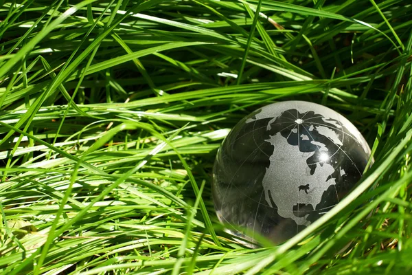 Globe in a grass, ecology — Stok Foto