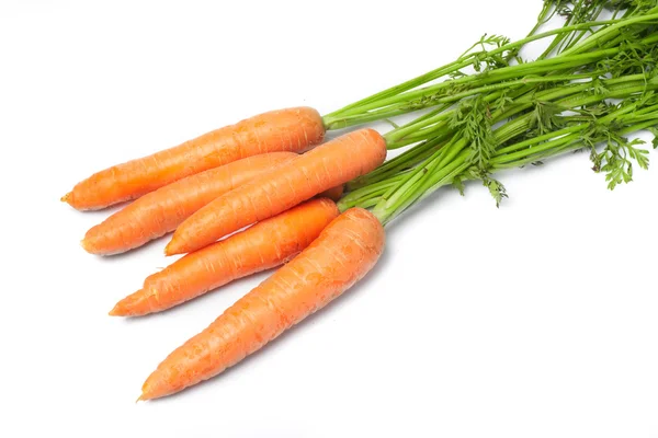 Carote di verdure fresche — Foto Stock