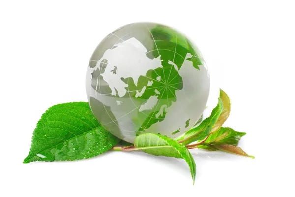A globe koncepció eco — Stock Fotó