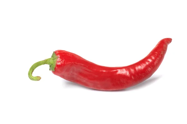 stock image Chile pepper