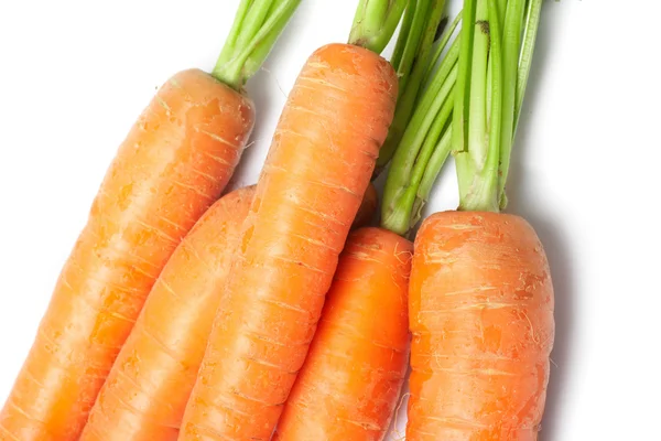 Морковь из свежих овощей — стоковое фото