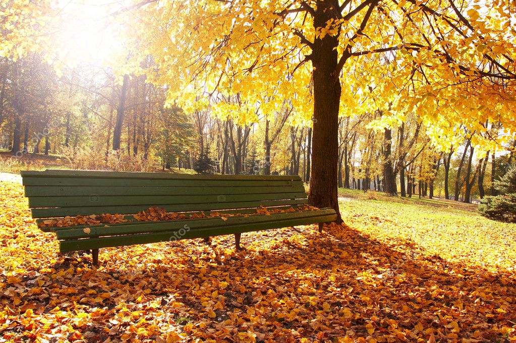 Autumn, fall background Stock Photo by ©strelok 1748965