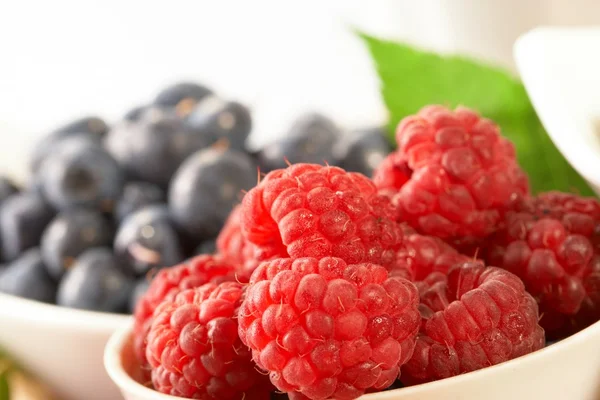 Berry, blueberry and raspberry — Stock Photo, Image
