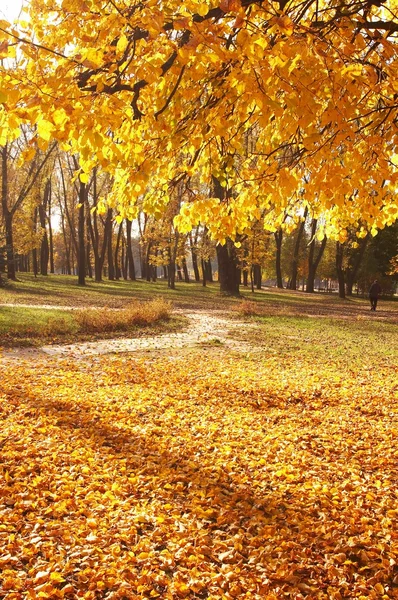 Осінь, осінь фону — стокове фото
