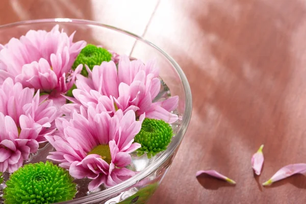 stock image Spa still life