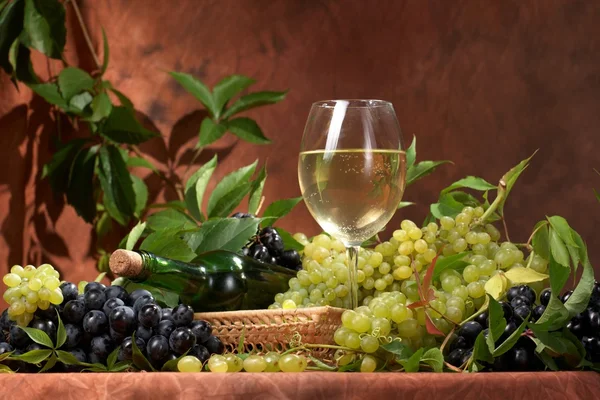 White dry wine, fresh clusters of grapes — Stock Photo, Image